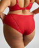 Sculptresse Sophia Deep Brief in Red made for the curvier woman back view