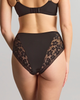 Celeste deep brief in black lace for curvy women back view