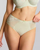 Celeste Deep Brief Pistachio Colour  made for curves Front View