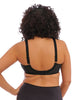 Le-Buste-Australia-EL4030-Cate-Full-Cup-Bra-Black-Back