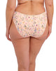 Fantasie Pippa Brief in Summer Garden made for the curvier woman back view