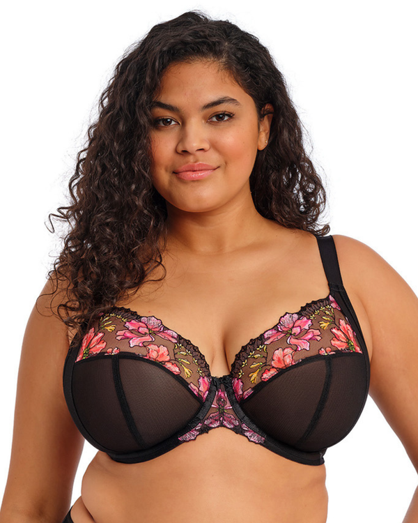 Elomi's Teagan Underwire Plunge: Rainbow, made for curves