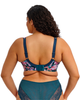 Lucie Stretch Plunge Bra: Teal Floral, made for curves