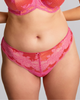 Panache Clara Thong in the color Pink Papaya, made for curves